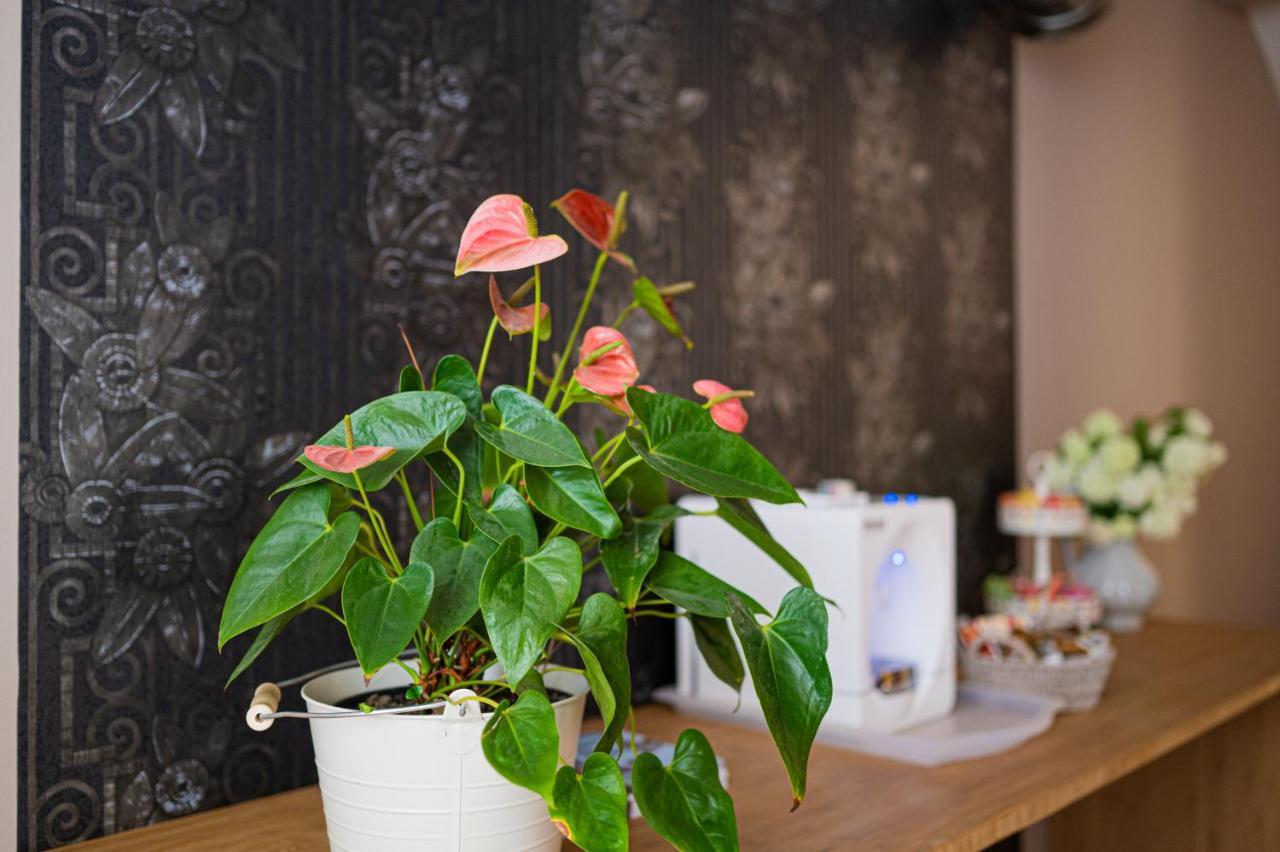 Paon Boutique Apartments Zagreb Luaran gambar